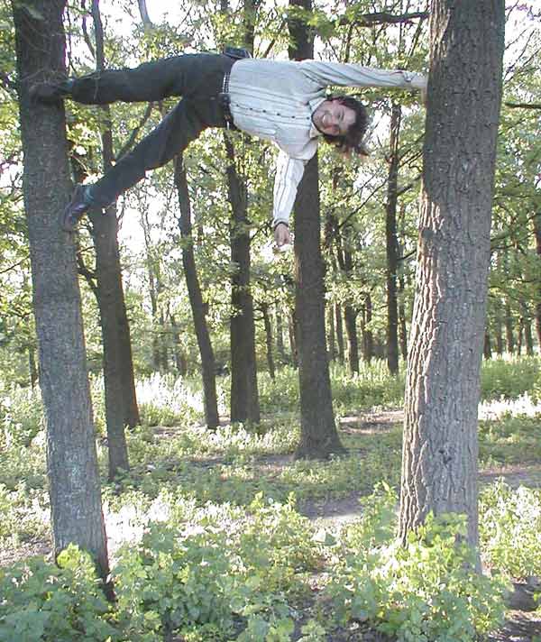 между двумя деревями