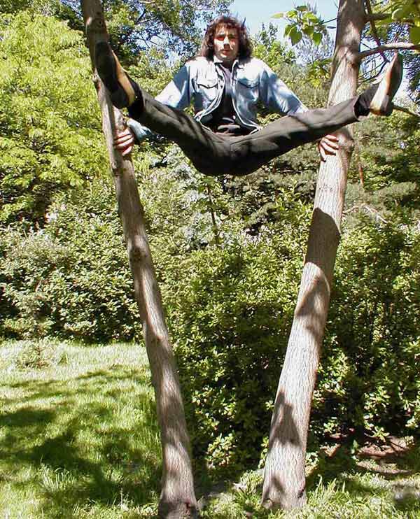 стойка на дереве