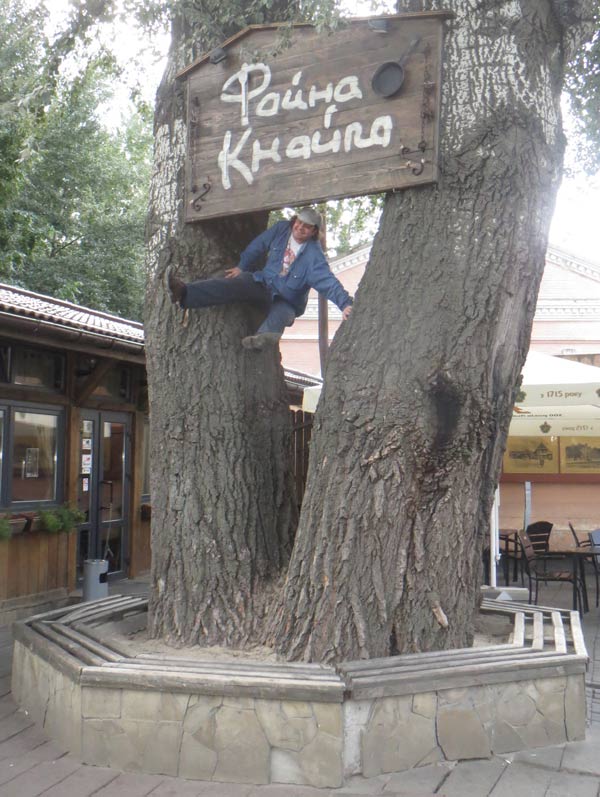 залез на дерево