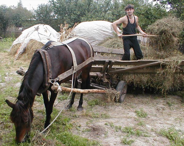 ������ ���� ����