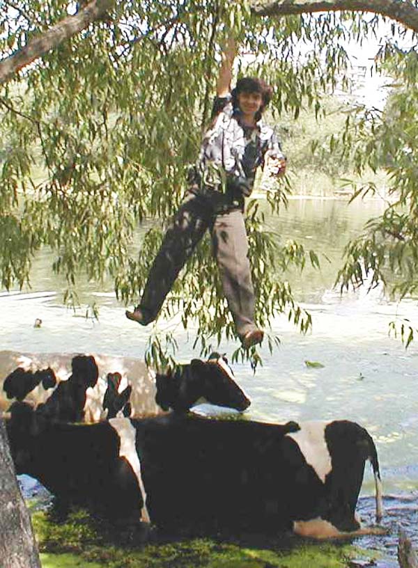 ������ � ��������