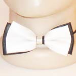 ������������ �������