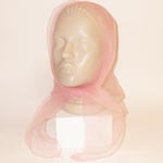 ������ �������