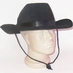 чорная фетровая шляпа