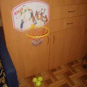 Баскетбол домашний